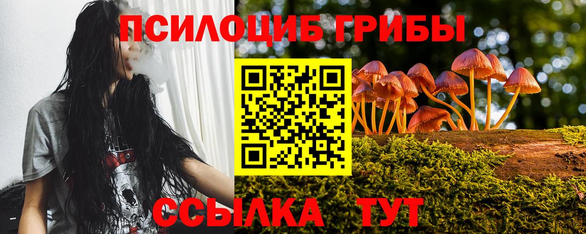 Протвино  Псилоцибиновые грибы Psilocybine cubensis  Вход с VPN  купить наркотики сайты  Галлюциногенные грибы Psilocybe 
